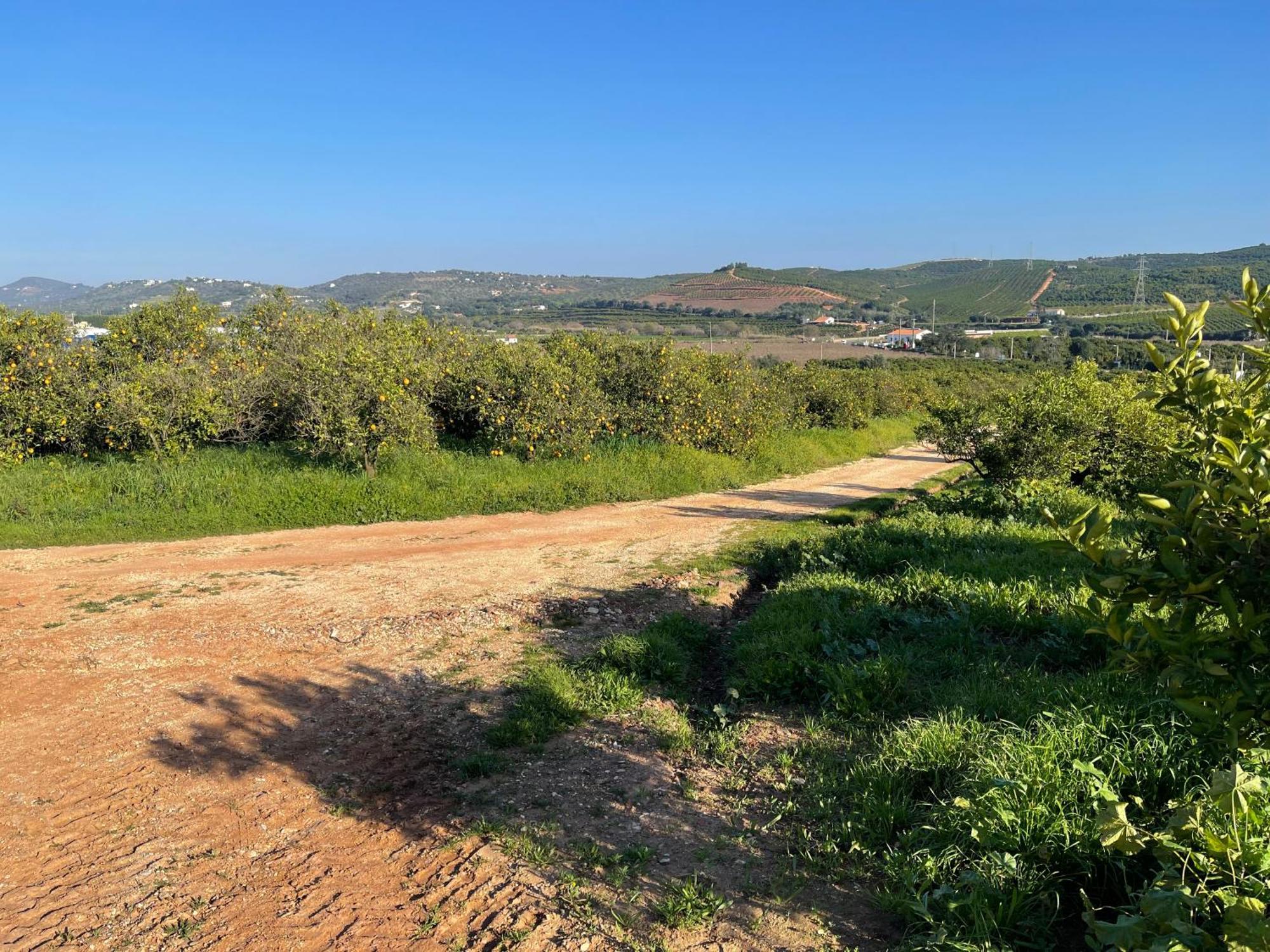 Orange Grove Residence Silves Exterior photo