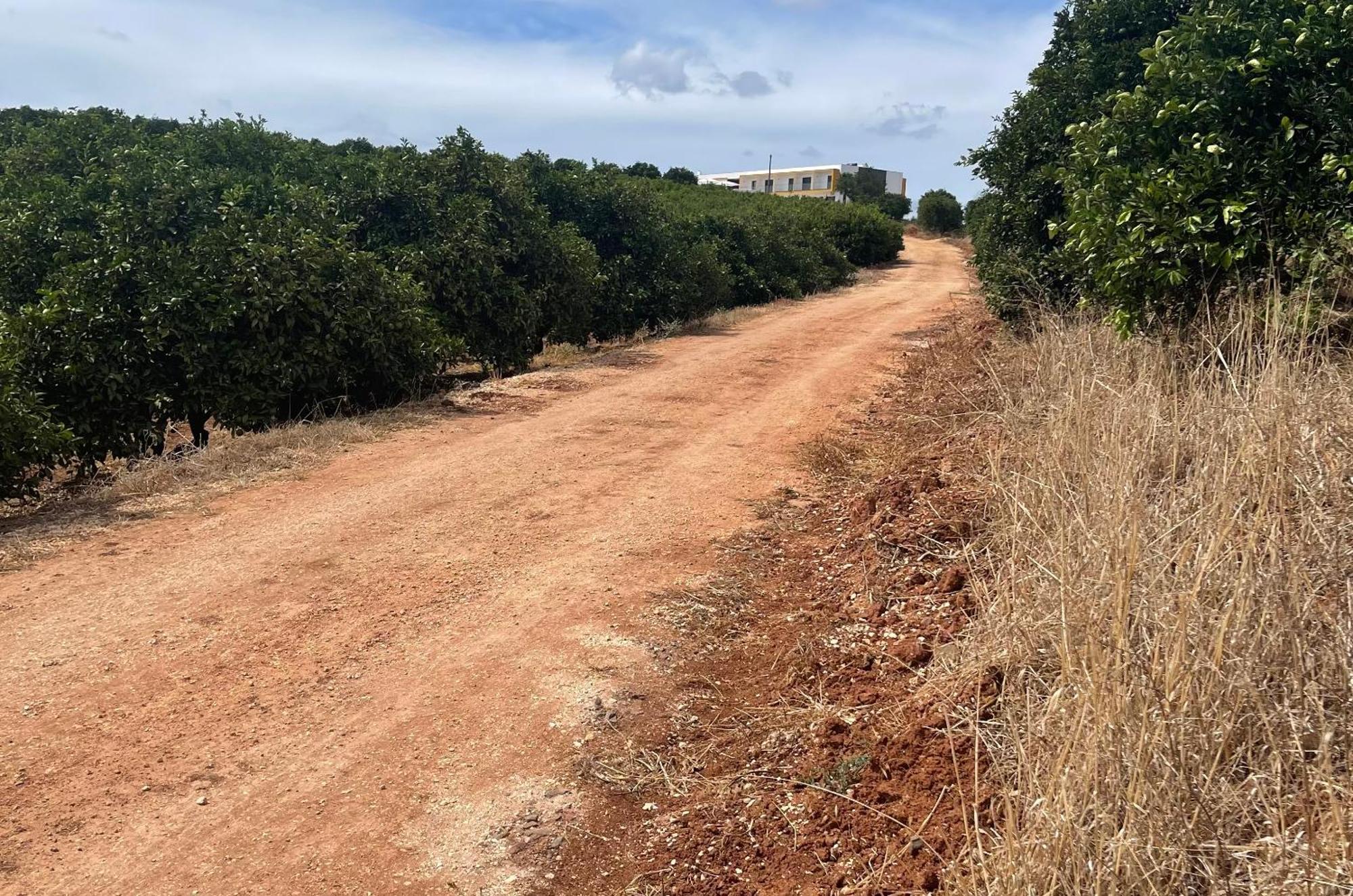 Orange Grove Residence Silves Exterior photo
