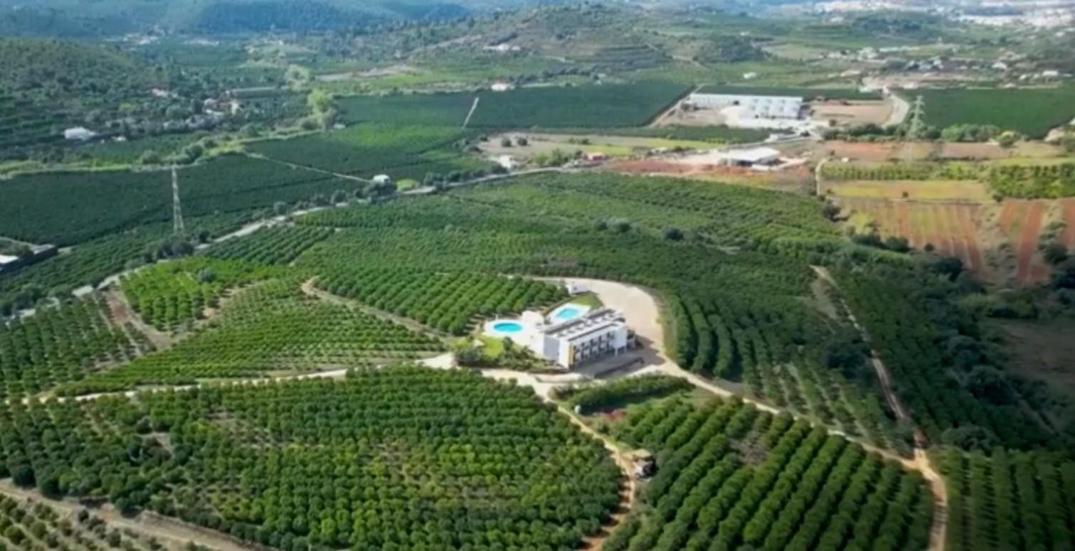 Orange Grove Residence Silves Exterior photo